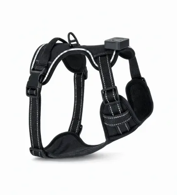 Max's World LED-es kutyahám