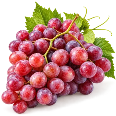 Rosé szőlő
