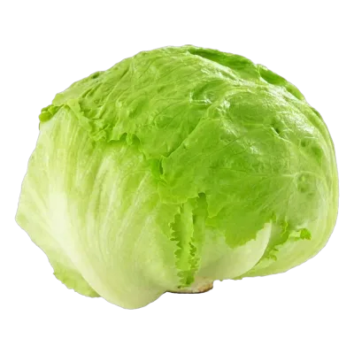 Jégsaláta
