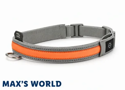 Max's World LED-es kutyanyakörv