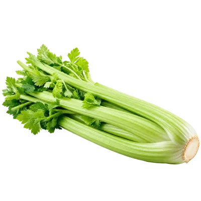 Zellerszár