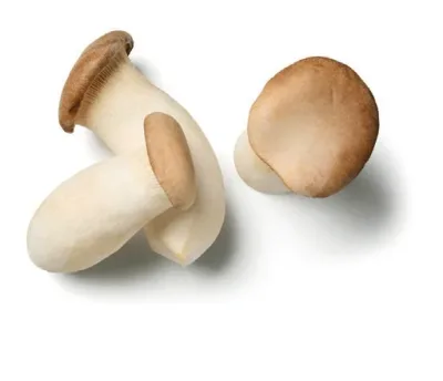 Mini ördögszekér gomba