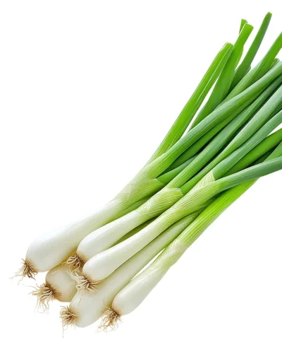 Zöldhagyma