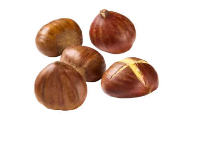 Gesztenye