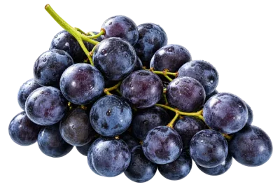 Piros vagy kék szőlő
