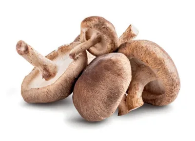 Shiitake gomba