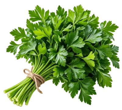 Petrezselyemzöld