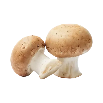 Barna csiperkegomba