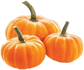 Halloween tök