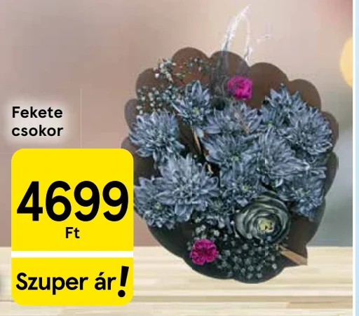 Fekete csokor